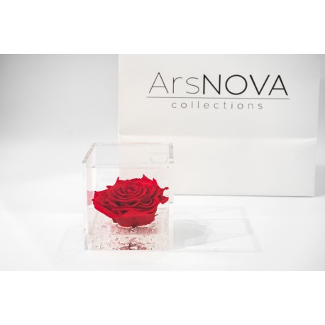 Rosa rossa stabilizzata cube Ars Nova 10x10cm