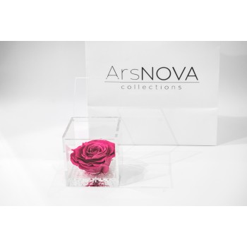 Rosa rosa stabilizzata cube Ars Nova 10x10cm