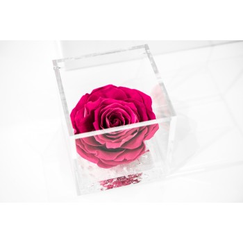 Rosa rosa stabilizzata cube Ars Nova 10x10cm