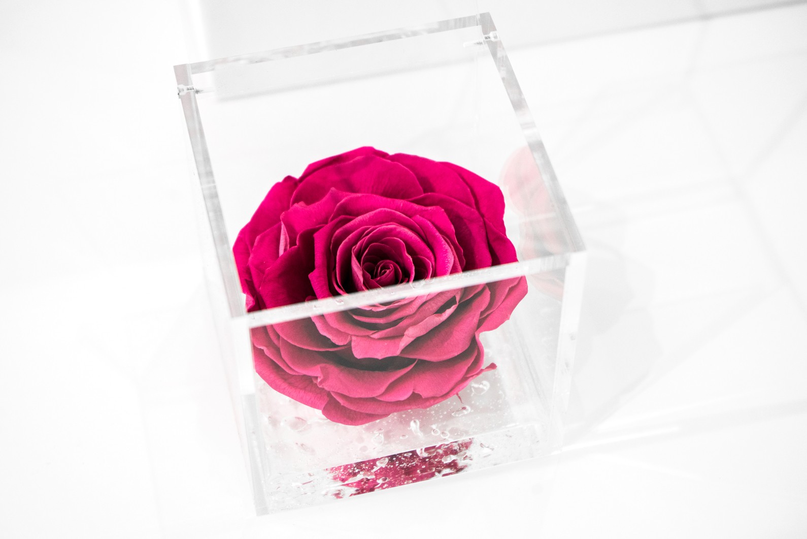 wp-image3185
