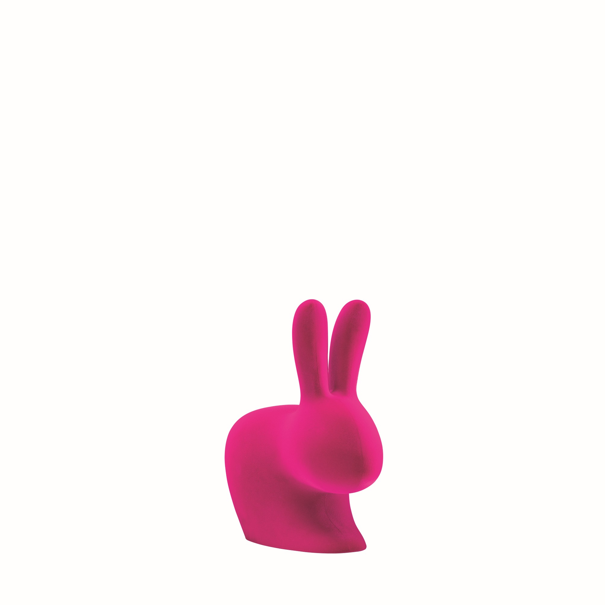 Immagine1