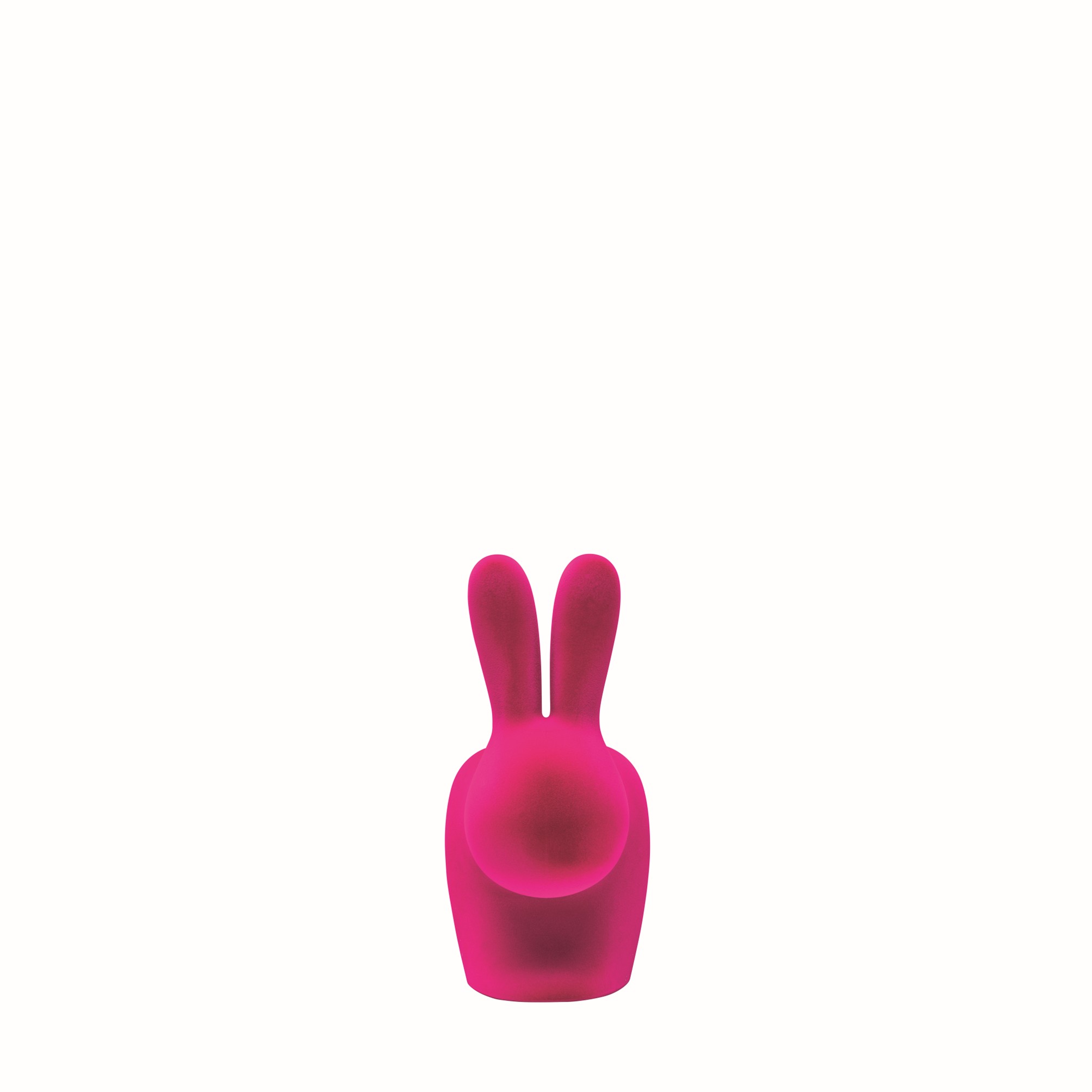 Immagine2