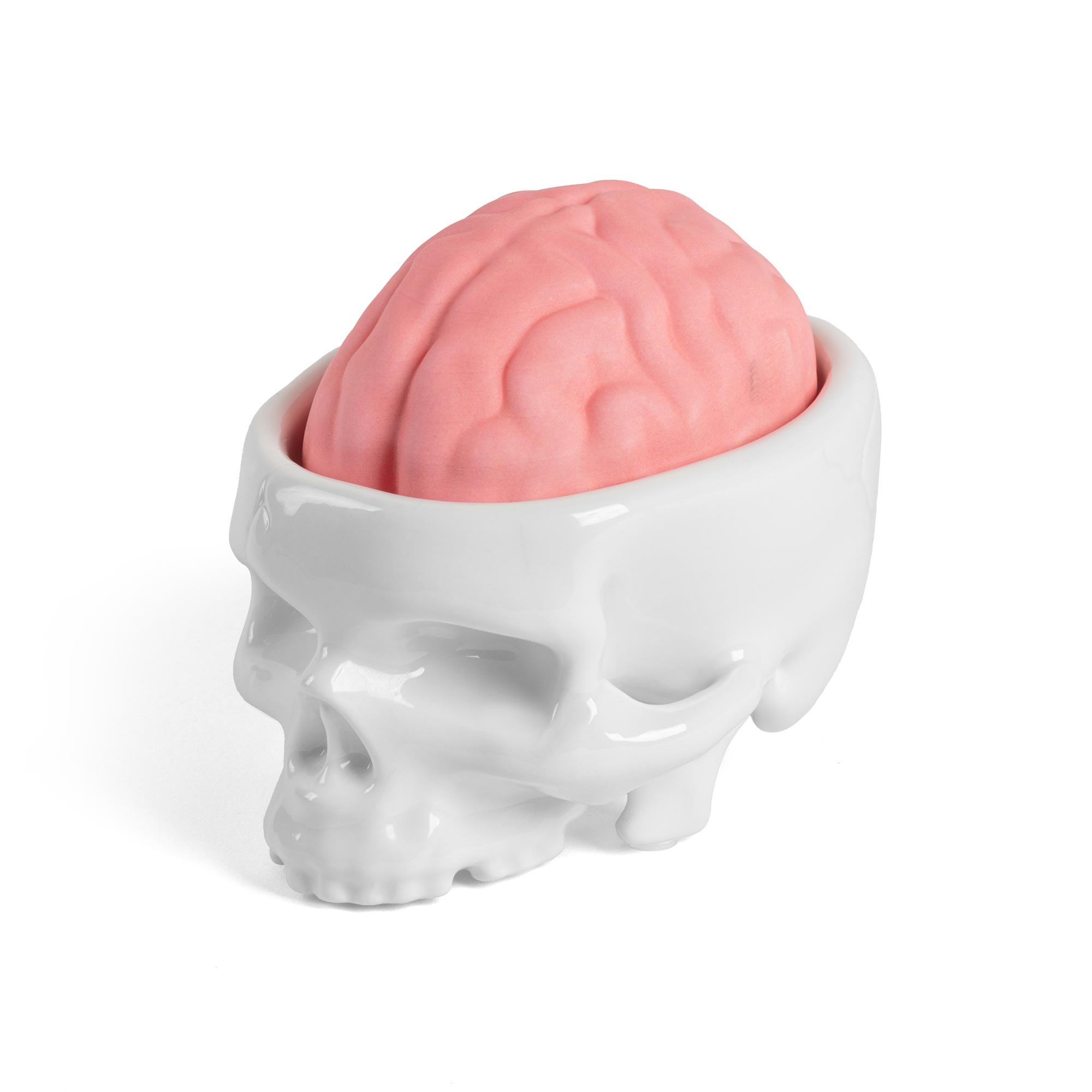 brain-wash-white-13501-7